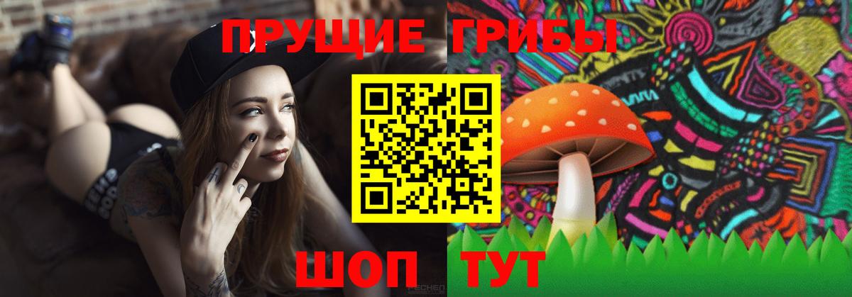 Псилоцибиновые грибы GOLDEN TEACHER Москва